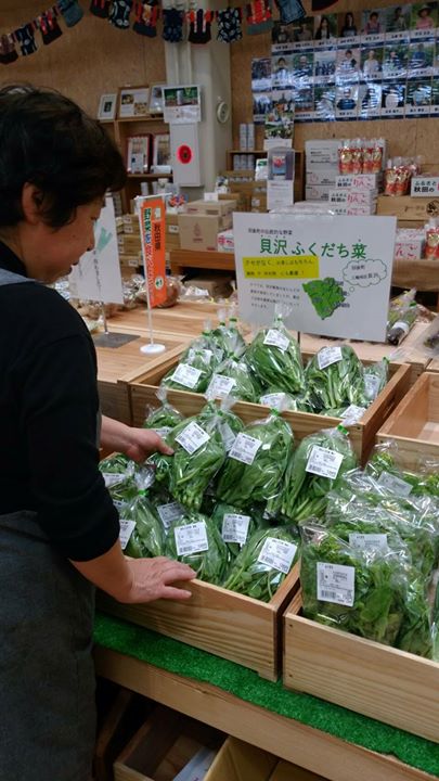 今年も出てきました 貝沢ふくたち菜 まいにち みちこ 東北 道の駅 日刊マガジン