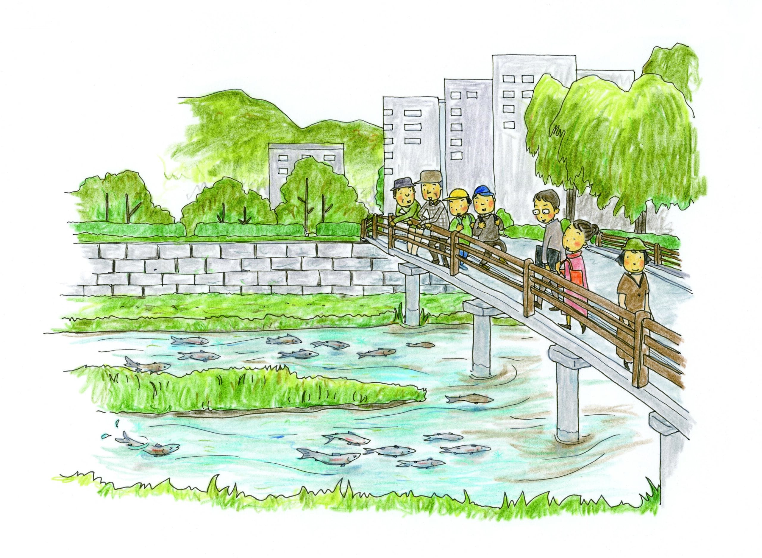 秋分 いわて暮らしの季節暦 盛岡でサケの遡上 まいにち みちこ 東北 道の駅 公式サイト