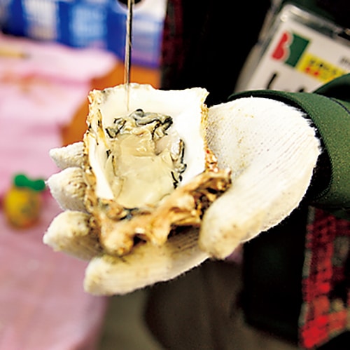 山田湾で養殖された牡蠣