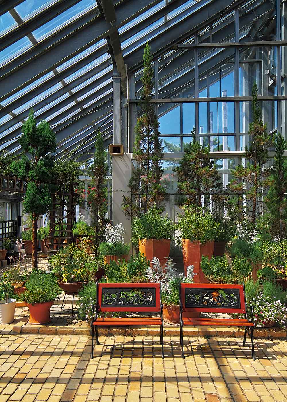 植物のある暮らしを提案するA温室