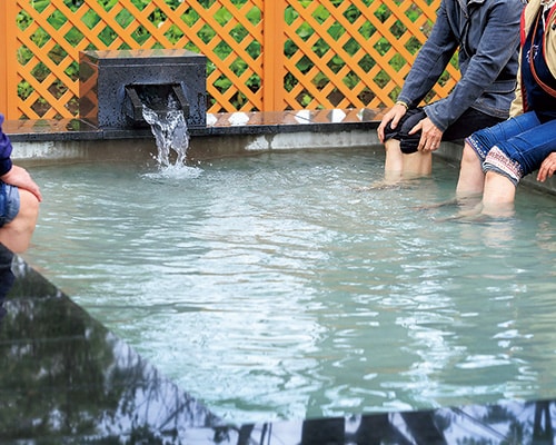 人用と犬用がある足湯