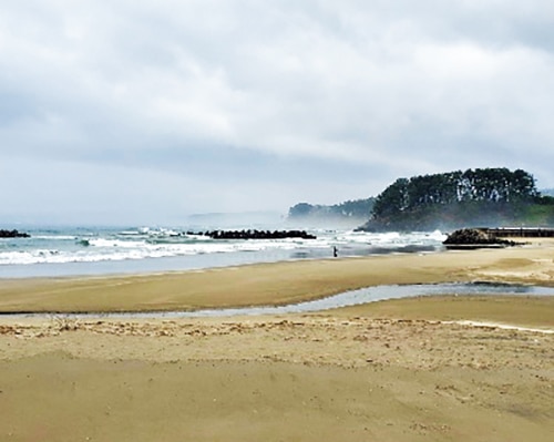 種市海浜公園