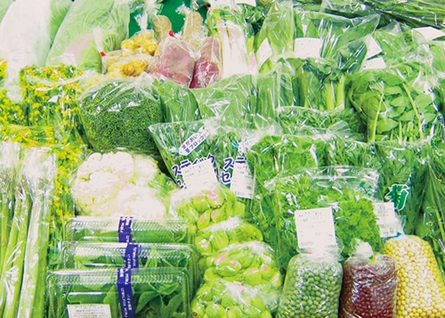 朝摘みの春野菜