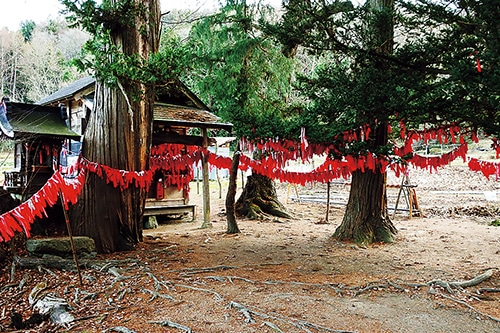 卯子酉神社の境内