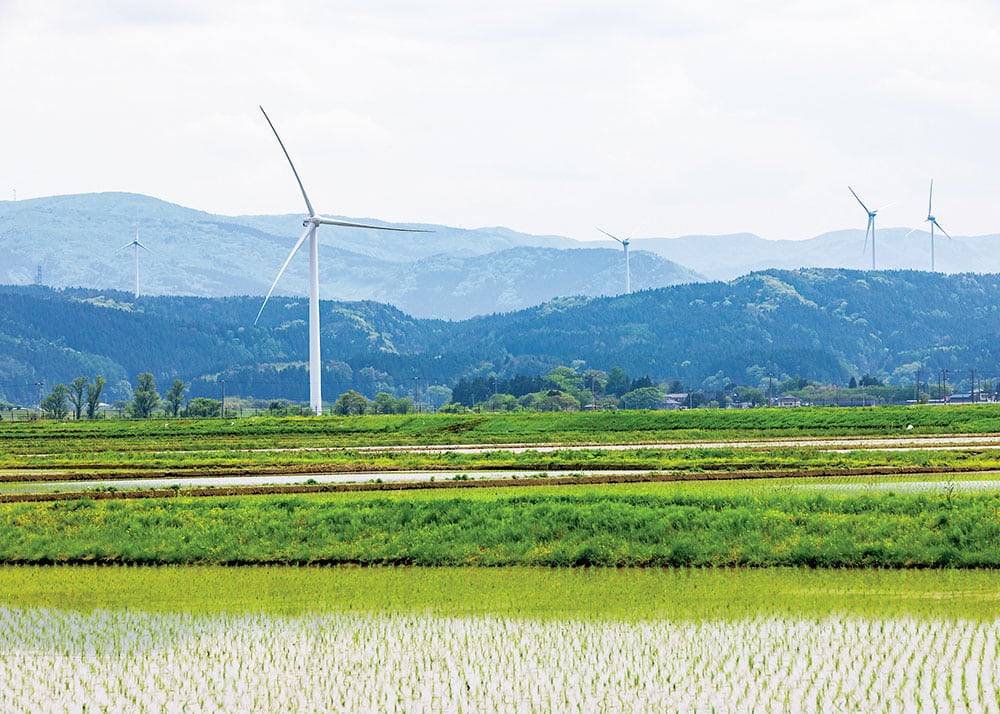 風車と田んぼの風景