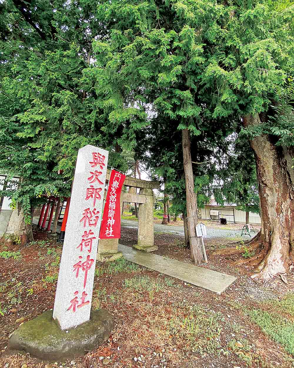 杉木立に囲まれた境内