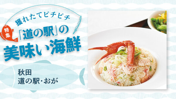 「道の駅」の美味い海鮮【秋田】おが