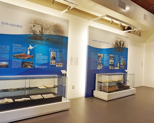 展示室の室内
