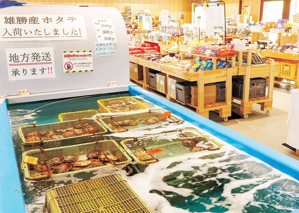 雄勝産のホタテが並ぶ「生け簀」