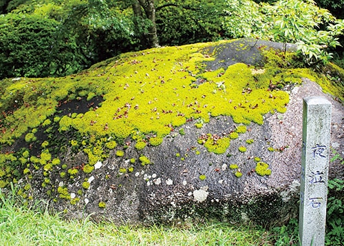 苔むした夜泣き石