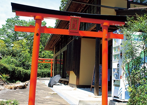 猫稲荷の鳥居