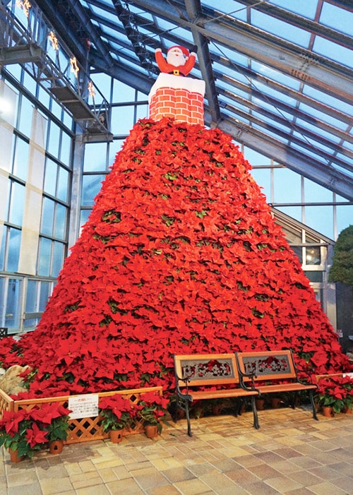 ポインセチアタワー