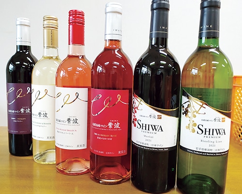 自園自醸ワイン