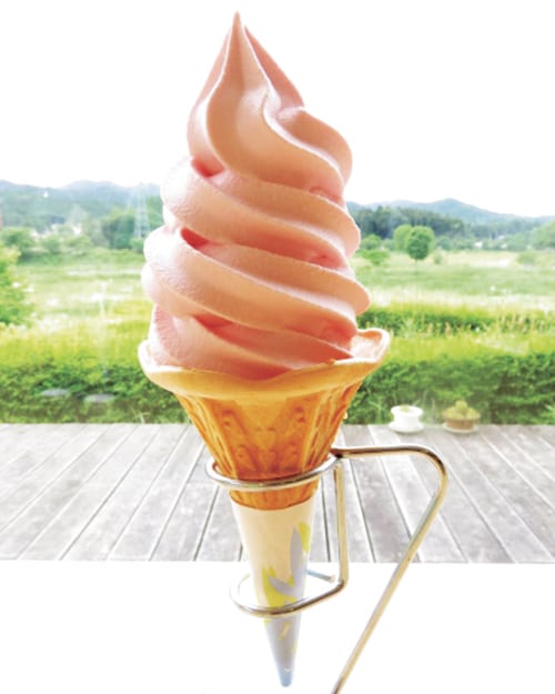 ダリアソフトクリーム