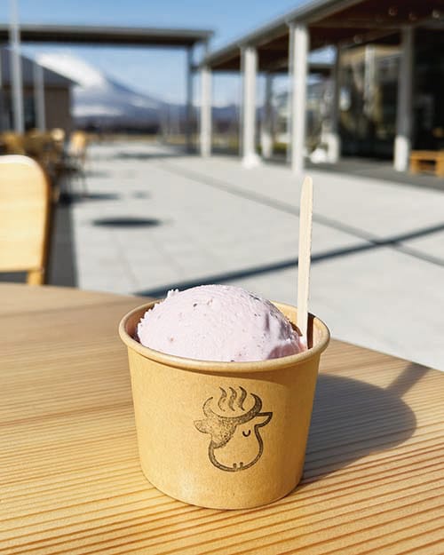 カップ入りのジェラート