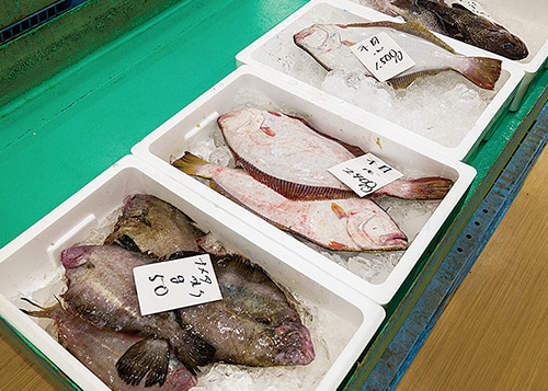 ナメタやヒラメなどの魚