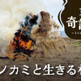 サエノカミと生きる村 ①