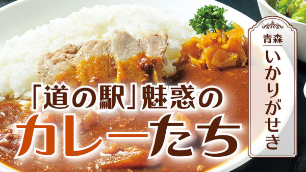 「道の駅」魅惑のカレーたち【青森】いかりがせき