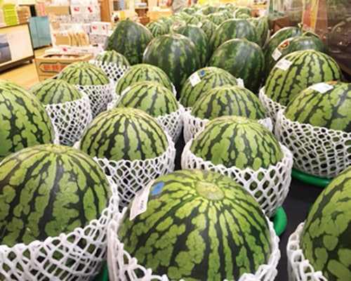 売り場に並べた沢山のスイカ
