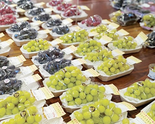 様々な品種のブドウが並ぶ売り場
