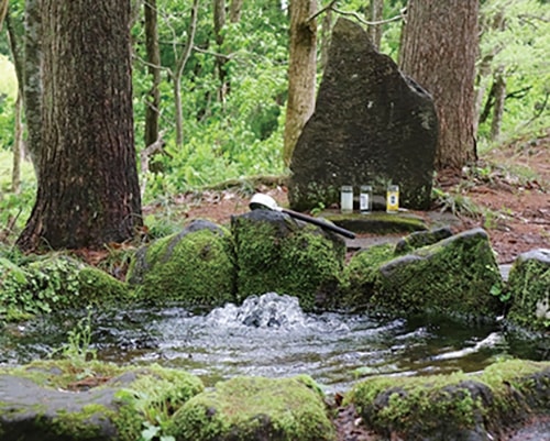 山中にある湧き水の名所