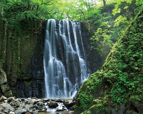 水量の豊富な滝