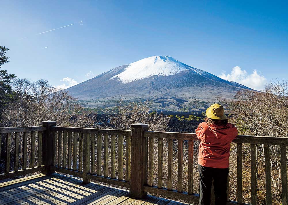 展望台から見る岩手山